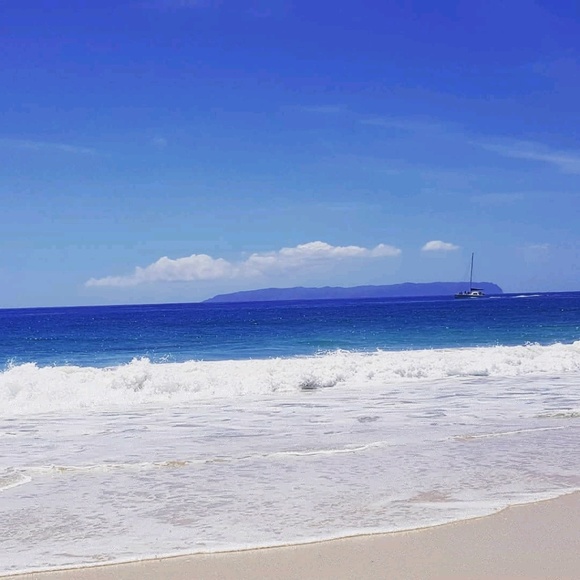 Meet your Posher, Marissa - Picture 1 of 1